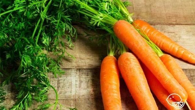 Польза и вред моркови для здоровья