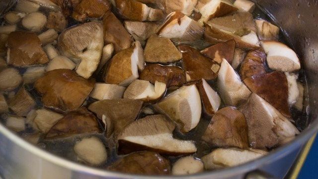 Как солить грибы подберезовики