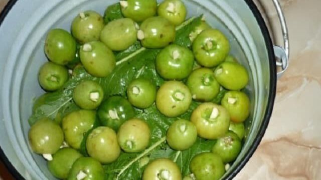 Засолка зеленых помидоров в ведре холодным способом: лучшие рецепты приготовления соленых томатов, правила хранения и полезные советы